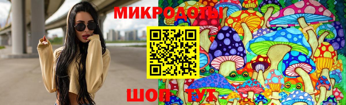 Галлюциногенные грибы Cubensis Рославль