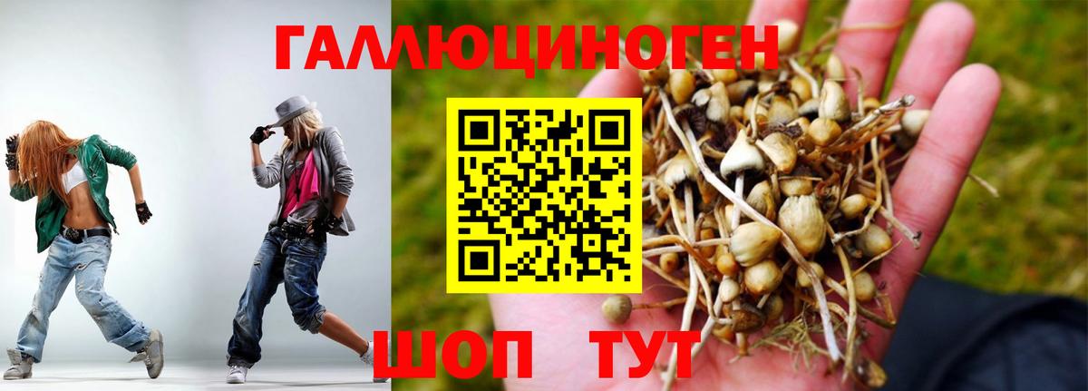 Рославль  Галлюциногенные грибы MAGIC MUSHROOMS  Псилоцибиновые грибы ЛСД  закладка  Вход с VPN 